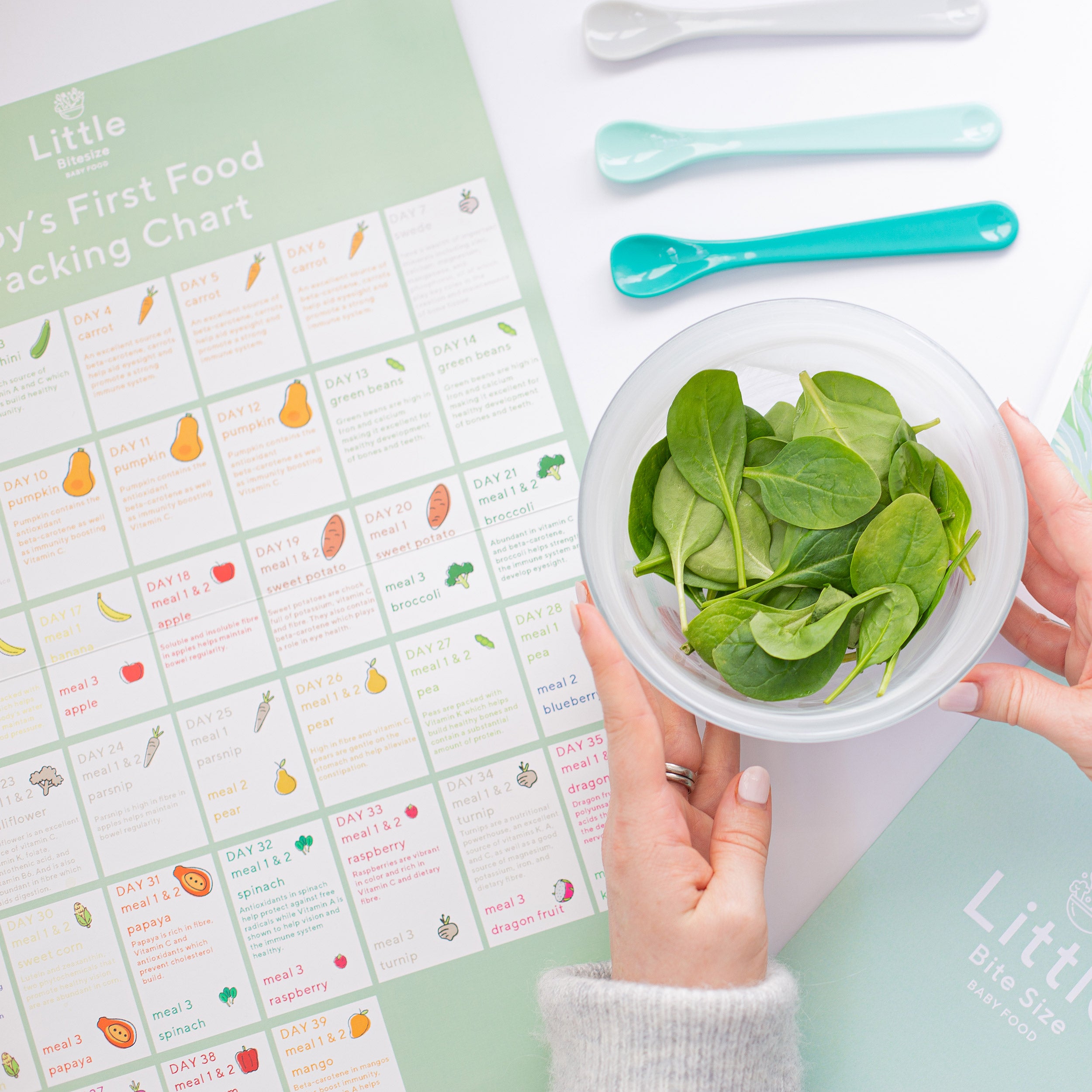 Starting Solids Plan - 39 Days 24 Purees, 3 Serves of Each